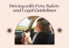 The Risk of Driving With Pets: Safety and Legal Tips